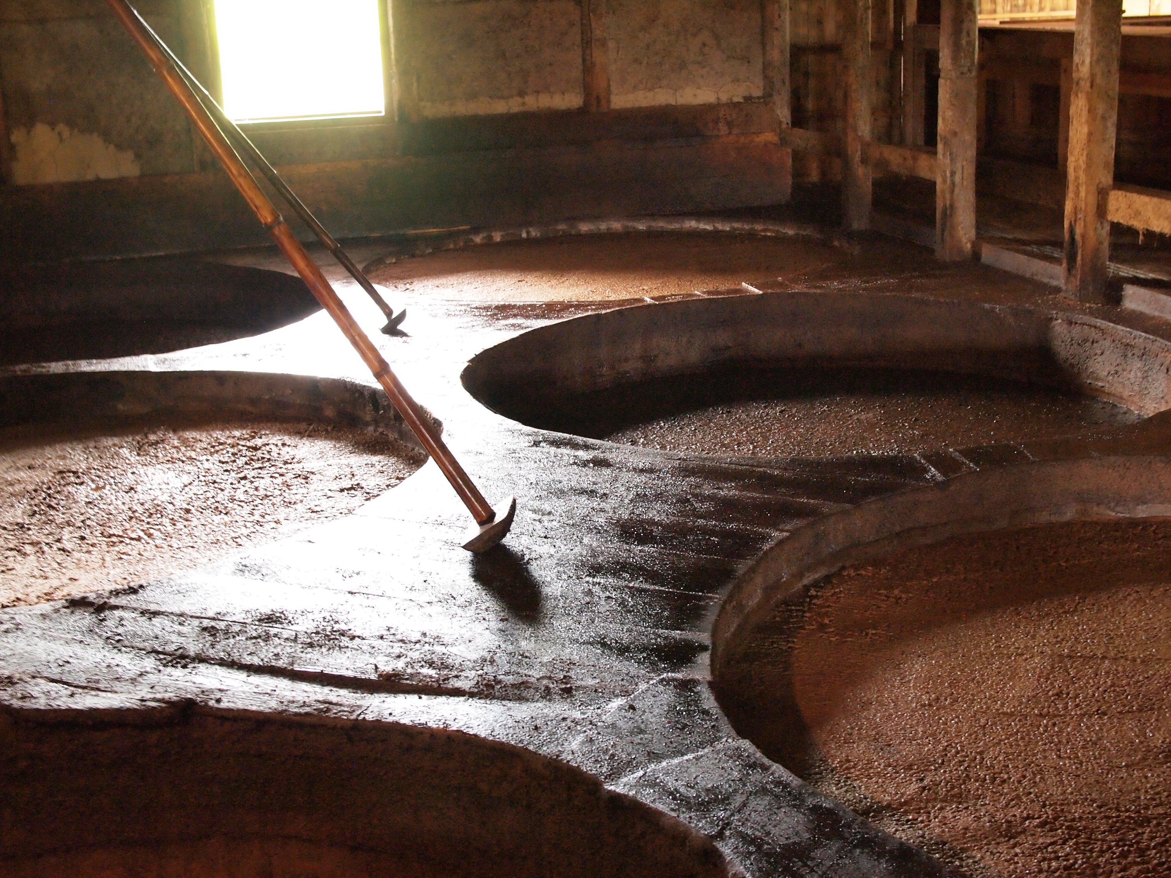 Moromi mash fermenting in giant wooden vats, Shodoshima soy sauce cellar